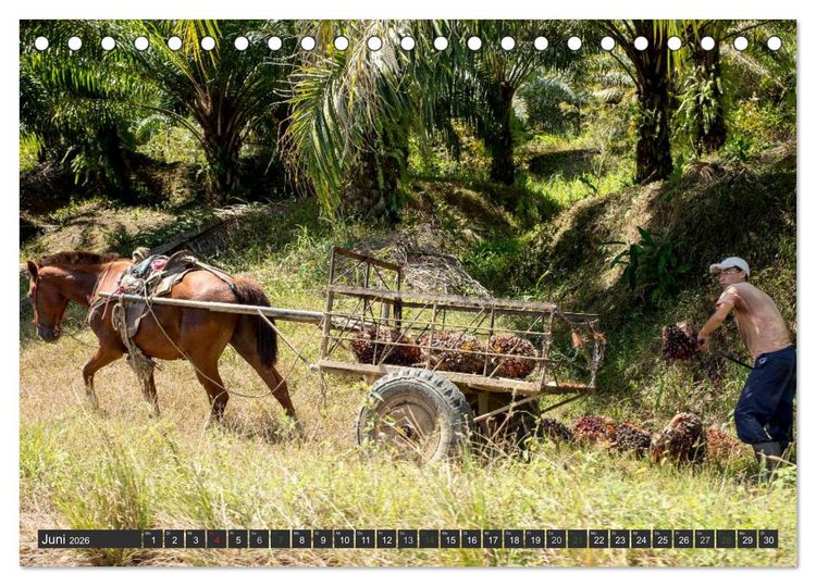 Produktbild: COSTA RICA - PURA VIDA (Tischkalender 2026 DIN A5 quer), CALVENDO Monatskalender