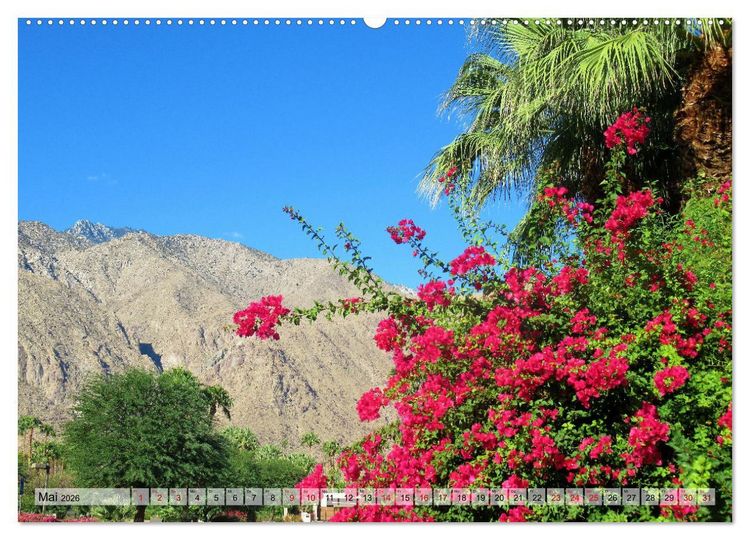 Produktbild: Palm Springs und Umgebung (Wandkalender 2026 DIN A2 quer), CALVENDO Monatskalender