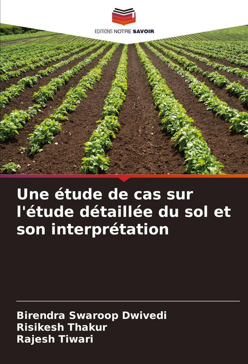 Produktbild: Une &eacute;tude de cas sur l'&eacute;tude d&eacute;taill&eacute;e du sol et son interpr&eacute;tation