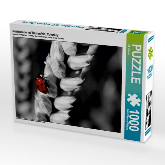 Produktbild: CALVENDO Puzzle Marienk&auml;fer im Weizenfeld, Colorkey | 1000 Teile Lege-Gr&ouml;&szlig;e 64x48cm Foto-Puzzle f&uuml;r gl&uuml;ckliche Stunden