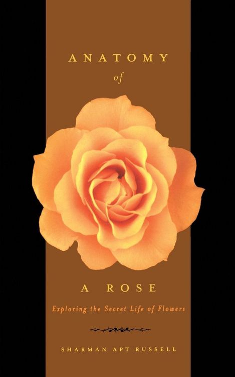 Produktbild: Anatomy of a Rose