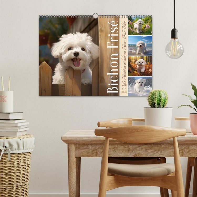 Produktbild: Bichon fris&eacute;, wei&szlig;e H&uuml;ndchen mit lockigem Haar (Wandkalender 2026 DIN A3 quer), CALVENDO Monatskalender