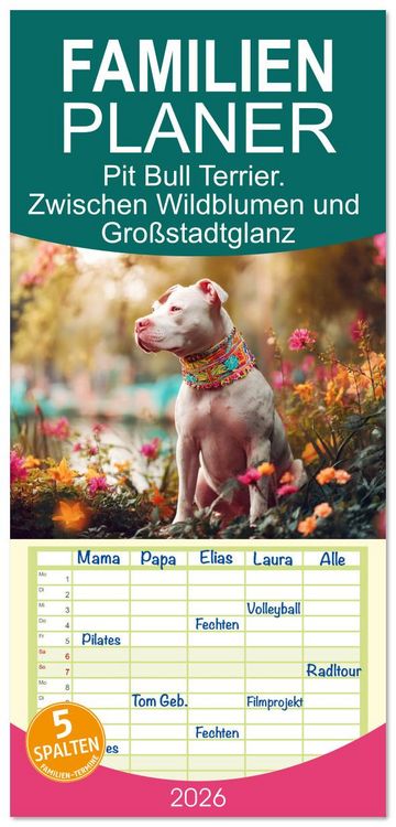 Produktbild: Familienplaner 2026 - Pit Bull Terrier. Zwischen Wildblumen und Gro&szlig;stadtglanz mit 5 Spalten (Wandkalender, 21 x 45 cm) CALVENDO