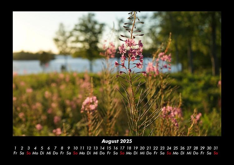 Produktbild: Blumentraum 2025 Fotokalender DIN A3