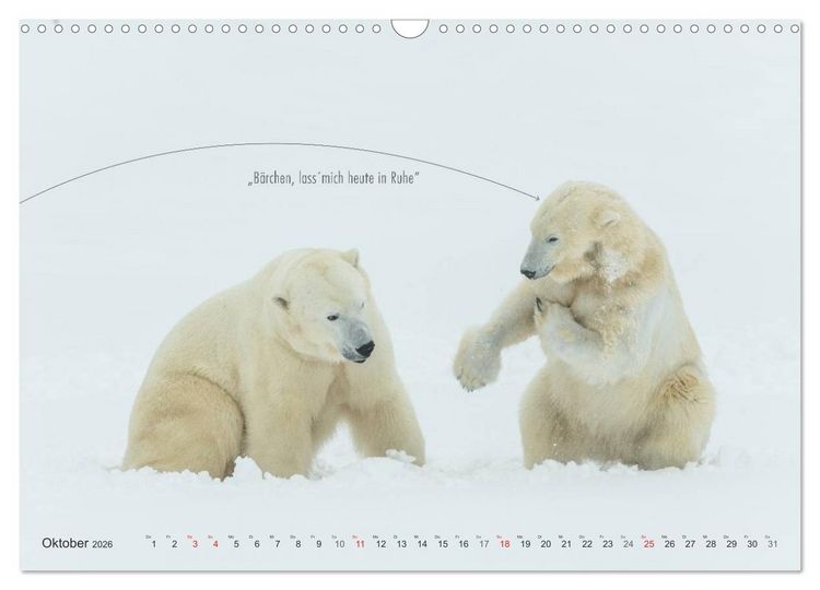Produktbild: Emotionale Momente: Eisb&auml;ren - ganz menschlich gesehen. (Wandkalender 2026 DIN A3 quer), CALVENDO Monatskalender
