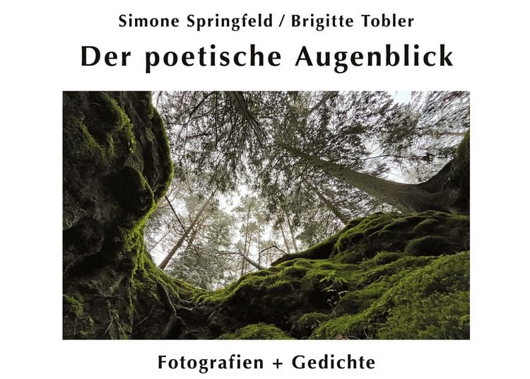 Produktbild: Der poetische Augenblick