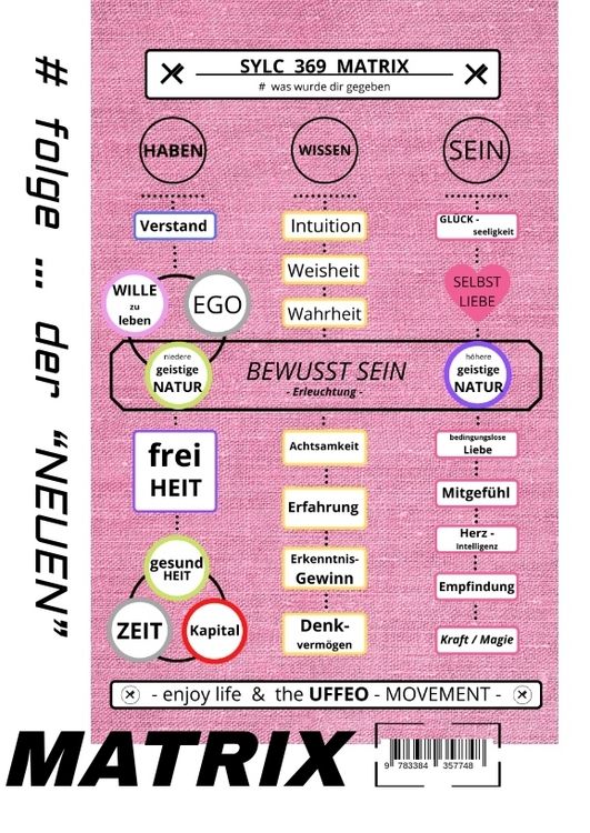 Produktbild: SYLC 369 MATRIX : Der WERTE - Kompass / Version : S