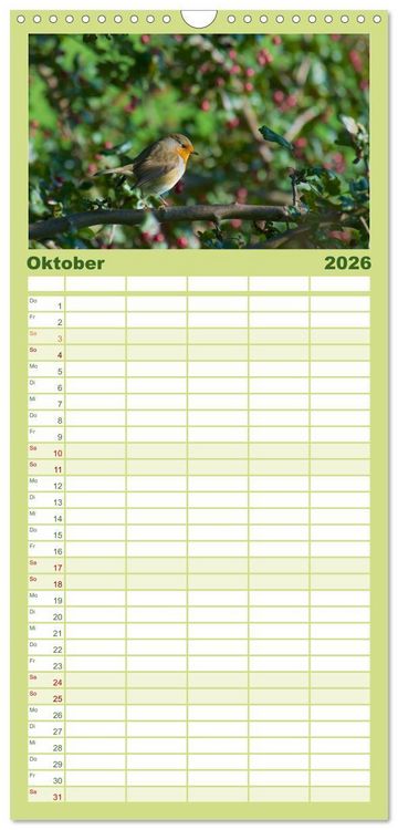 Produktbild: Familienplaner 2026 - Heimische V&ouml;gel mit 5 Spalten (Wandkalender, 21 x 45 cm) CALVENDO