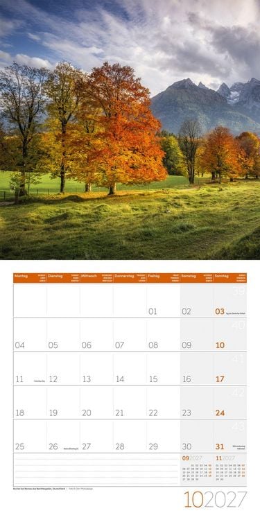 Produktbild: B&auml;ume Kalender 2027 - 30x30 - Art12