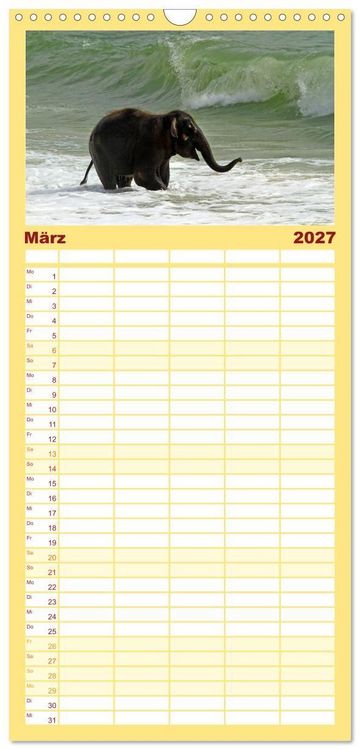 Produktbild: Familienplaner 2027 - Elefanten. Spa&szlig; am Wasser mit 5 Spalten (Wandkalender, 21 x 45 cm) CALVENDO