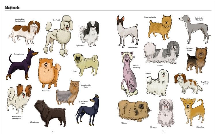 Produktbild: Gro&szlig;e Hunde, kleine Hunde