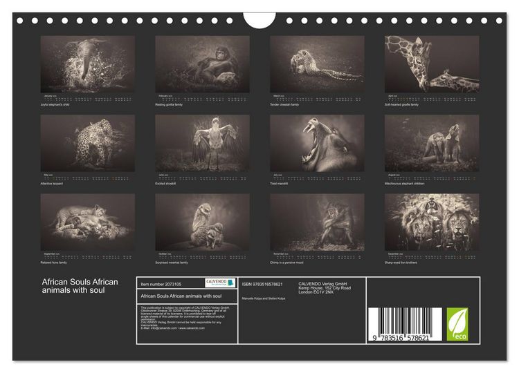 Produktbild: African Souls African animals with soul (Wall Calendar 2026 DIN A4 landscape), CALVENDO 12 Month Wall Calendar