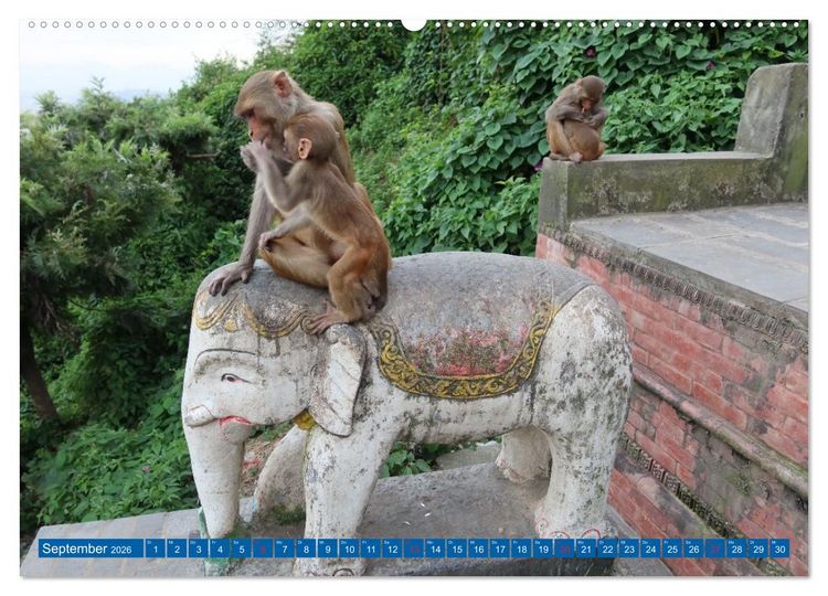 Produktbild: Kalender 2026 der Nepal Kinderhilfe e.V. (hochwertiger Premium Wandkalender 2026 DIN A2 quer), Kunstdruck in Hochglanz