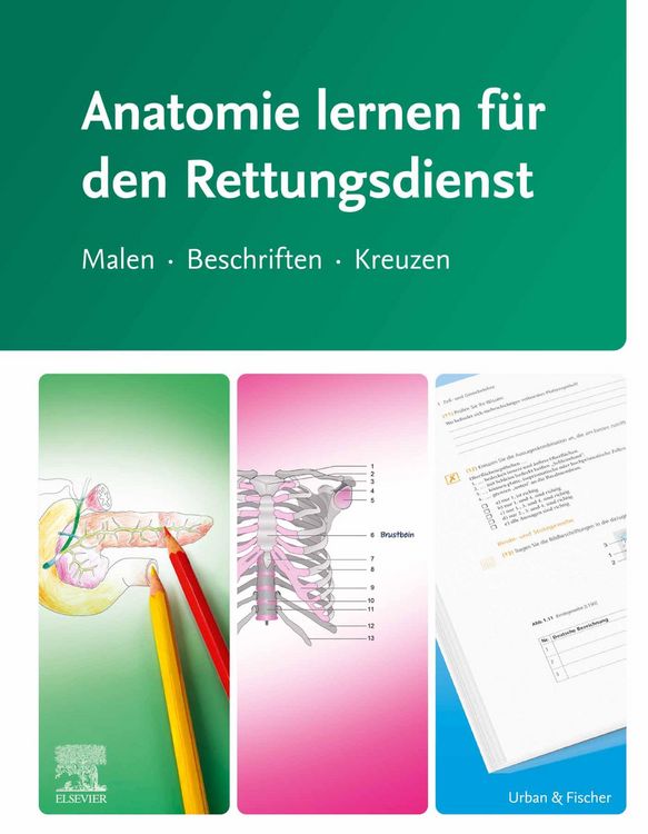 Produktbild: Anatomie lernen f&uuml;r den Rettungsdienst