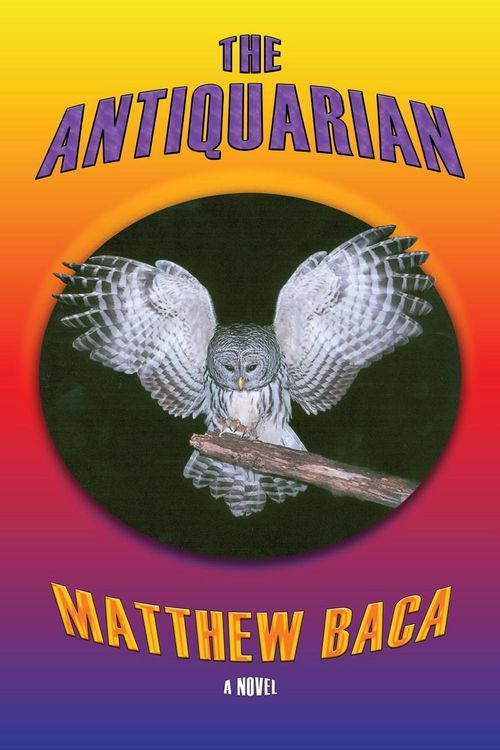 Produktbild: The Antiquarian
