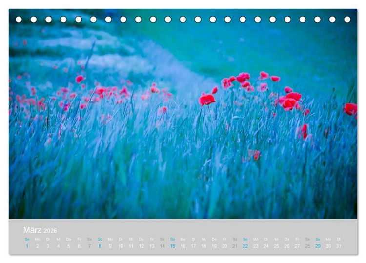 Produktbild: Zauber des Mohns (Tischkalender 2026 DIN A5 quer), CALVENDO Monatskalender