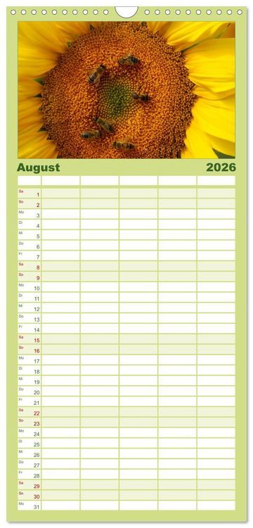 Produktbild: Familienplaner 2026 - Sonnenblumen mit 5 Spalten (Wandkalender, 21 x 45 cm) CALVENDO