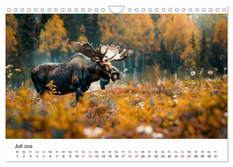 Produktbild: Elche - sch&ouml;ne Momente (Wandkalender 2026 DIN A4 quer), CALVENDO Monatskalender