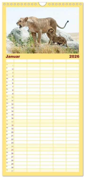 Produktbild: Familienplaner 2026 - Die Magie der K&ouml;nige der Tiere mit 5 Spalten (Wandkalender, 21 x 45 cm) CALVENDO