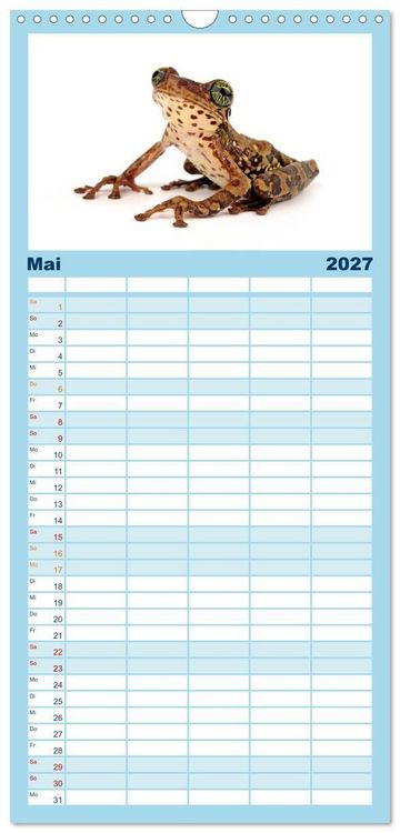 Produktbild: Familienplaner 2027 - Farbenpracht der Fr&ouml;sche mit 5 Spalten (Wandkalender, 21 x 45 cm) CALVENDO