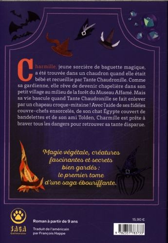 Produktbild: Les gardiens de la baguette magique