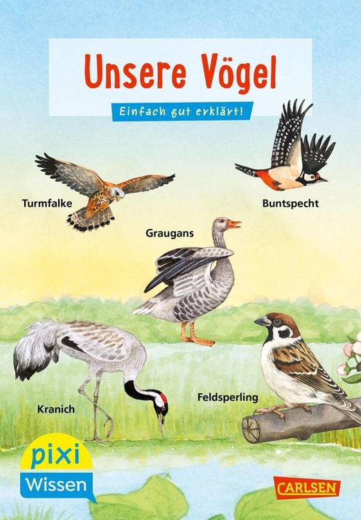 Bild vom Artikel Pixi Wissen 108: Unsere Vögel vom Autor Bärbel Oftring