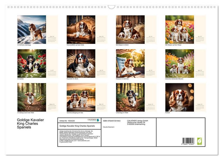Produktbild: Goldige Kavalier King Charles Spaniels (Wandkalender 2026 DIN A2 quer), CALVENDO Monatskalender