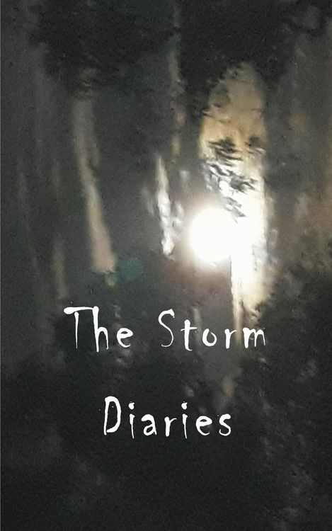Produktbild: The Storm Diaries