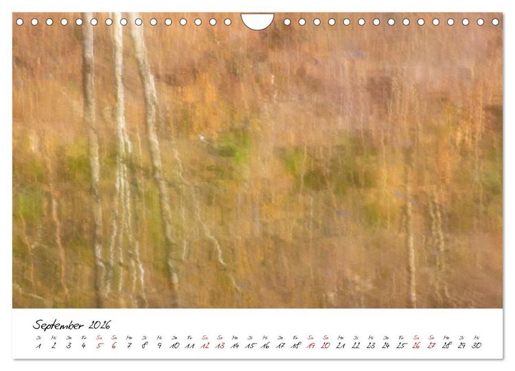 Produktbild: Abstrakte Landschaft ICM (Intentional Camera Movement) Fotografie (Wandkalender 2026 DIN A4 quer), CALVENDO Monatskalender