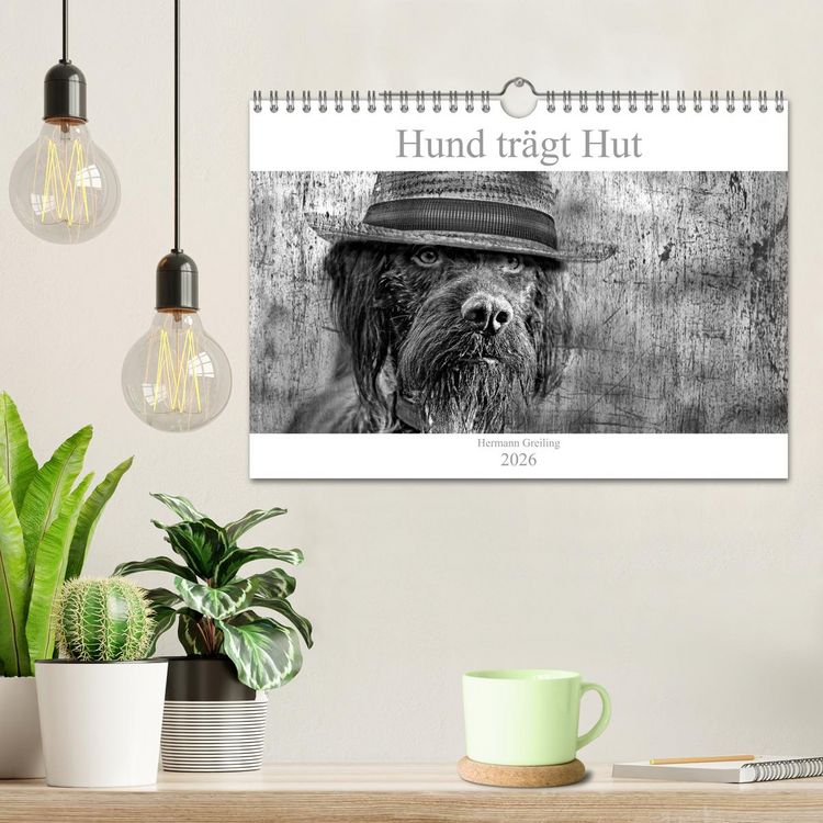 Produktbild: Hund tr&auml;gt Hut (Wandkalender 2026 DIN A4 quer), CALVENDO Monatskalender