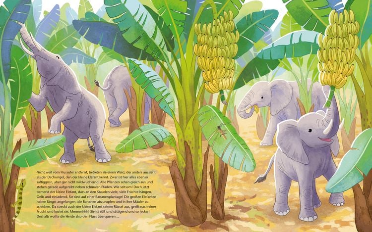 Produktbild: Der kleine Waldelefant - Zu Hause in Afrika