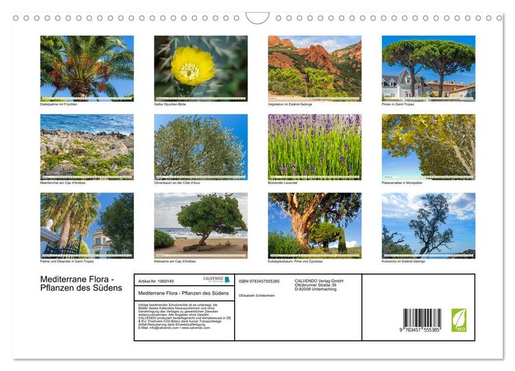 Produktbild: Mediterrane Flora - Pflanzen des S&uuml;dens (Wandkalender 2026 DIN A3 quer), CALVENDO Monatskalender