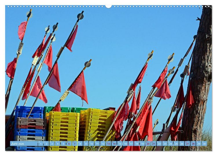 Produktbild: Gr&uuml;&szlig;e von Usedom (Wandkalender 2026 DIN A2 quer), CALVENDO Monatskalender