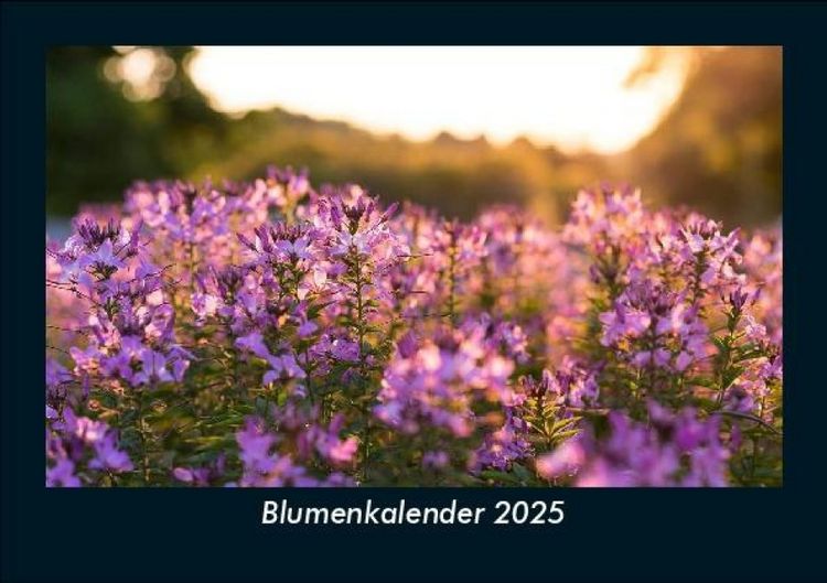 Produktbild: Blumenkalender 2025 Fotokalender DIN A5