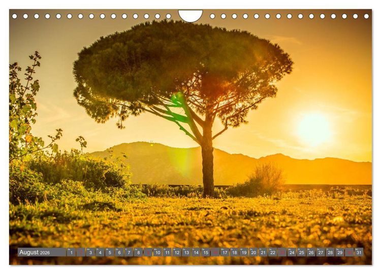 Produktbild: Korsika - Traum des Mittelmeers 2026 (Wandkalender 2026 DIN A4 quer), CALVENDO Monatskalender