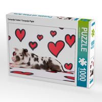 Produktbild: CALVENDO Puzzle Turopolje Ferkel / Turopolje Piglet 1000 Teile Lege-Gr&ouml;&szlig;e 64 x 48 cm Foto-Puzzle Bild von Jeanette Hutfluss