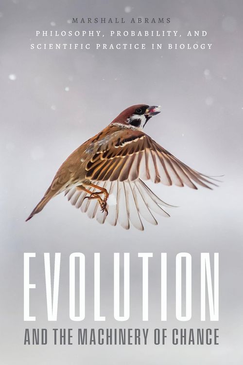 Produktbild: Evolution and the Machinery of Chance