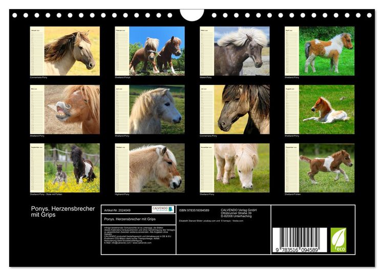 Produktbild: Ponys. Herzensbrecher mit Grips (Wandkalender 2026 DIN A4 quer), CALVENDO Monatskalender