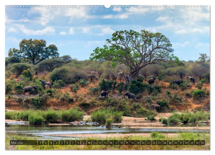 Produktbild: S&uuml;dafrika - Die Landschaft (Wandkalender 2026 DIN A2 quer), CALVENDO Monatskalender