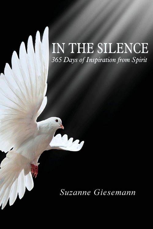 Produktbild: In the Silence