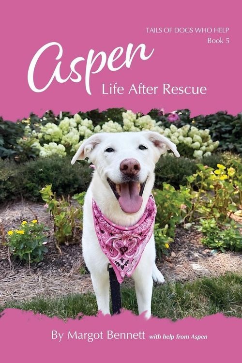Produktbild: Aspen, Life After Rescue