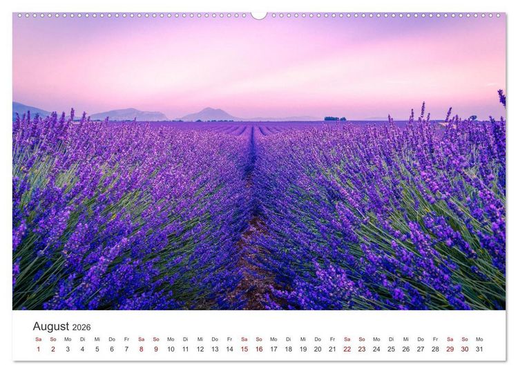 Produktbild: Lavendel - Die violette Wunderblume (hochwertiger Premium Wandkalender 2026 DIN A2 quer), Kunstdruck in Hochglanz