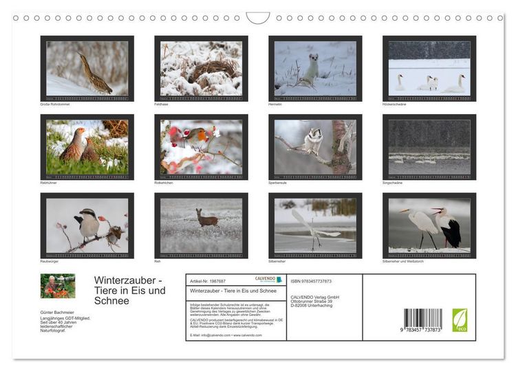 Produktbild: Winterzauber - Tiere in Eis und Schnee (Wandkalender 2026 DIN A3 quer), CALVENDO Monatskalender