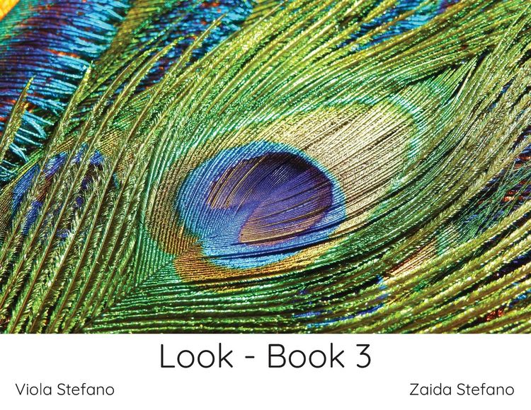 Produktbild: Look - Book 3