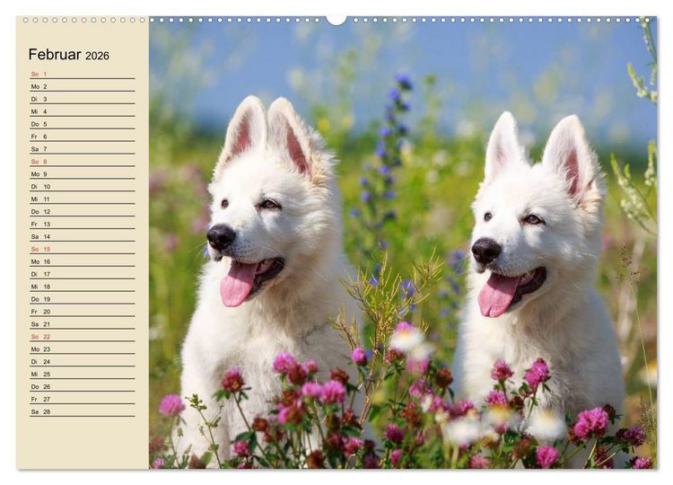 Produktbild: Beste Freunde. Bezaubernde Tierfreundschaften (hochwertiger Premium Wandkalender 2026 DIN A2 quer), Kunstdruck in Hochglanz