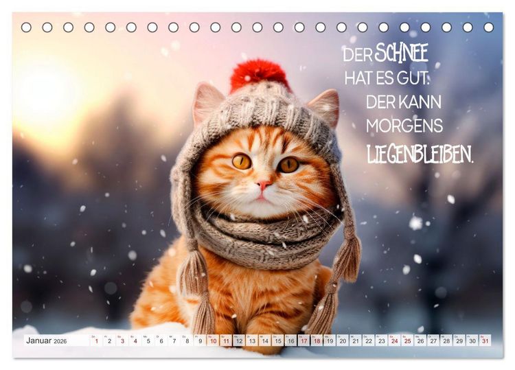 Produktbild: S&uuml;&szlig;e Katzen und coole Spr&uuml;che (Tischkalender 2026 DIN A5 quer), CALVENDO Monatskalender
