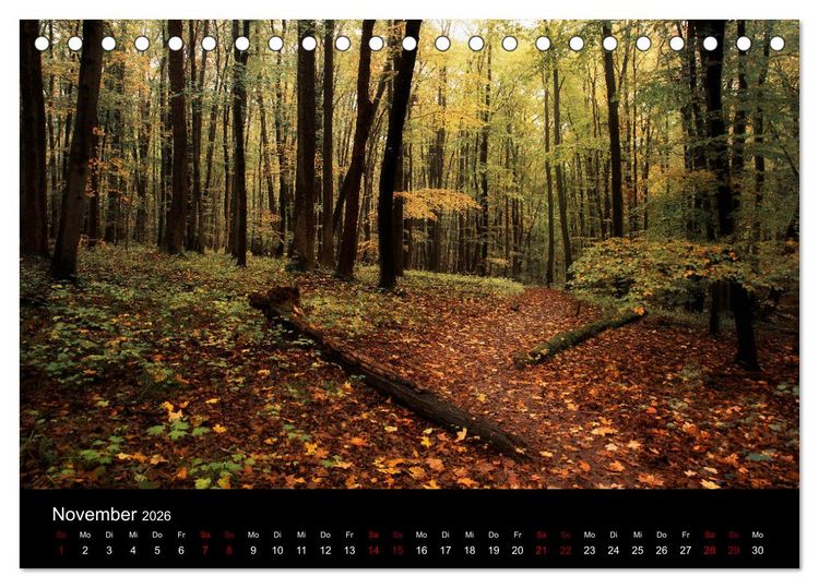 Produktbild: Wundersame Natur in Deutschland (Tischkalender 2026 DIN A5 quer), CALVENDO Monatskalender