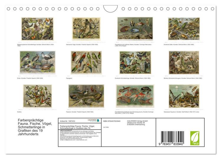 Produktbild: Farbenpr&auml;chtige Fauna. Fische, V&ouml;gel, Schmetterlinge in Grafiken des 19 Jahrhunderts (Wandkalender 2026 DIN A4 quer), CALVENDO Monatskalender