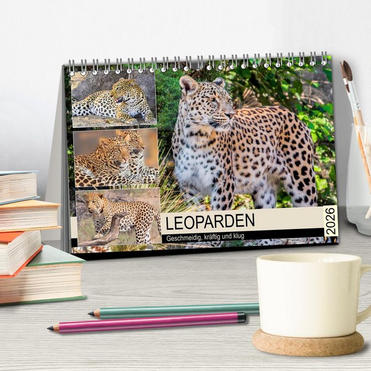 Produktbild: Leoparden. Geschmeidig, kr&auml;ftig und klug (Tischkalender 2026 DIN A5 quer), CALVENDO Monatskalender