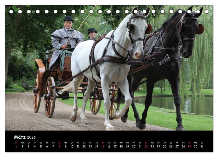 Produktbild: CIAT - Historischer Fahrsport in Celle (Tischkalender 2026 DIN A5 quer), CALVENDO Monatskalender